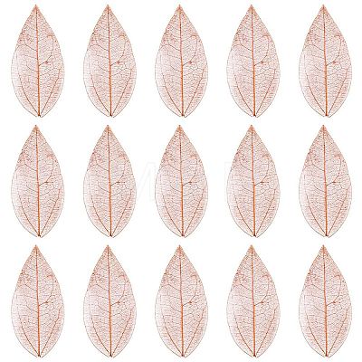 100Pcs Dried Flower Leaf Craft Supplies AJEW-CP0009-41C-1
