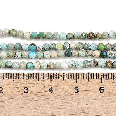 Natural HuBei Turquoise Beads Strands G-L628-B02-3mm-01-1