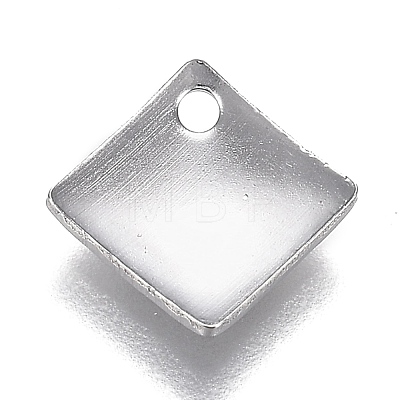 304 Stainless Steel Charms STAS-I166-01P-1