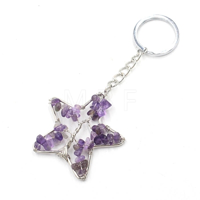 Natural Amethyst Keychains PW-WG204B5-06-1