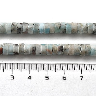 Natural Larimar Beads Strands G-Q024-B03-03-1