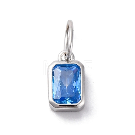 925 Sterling Silver Cubic Zirconia Charms STER-NH0014-01P-09-1