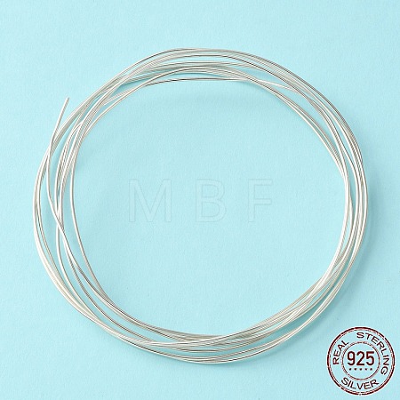 Dead Soft 925 Sterling Silver Wire STER-NH005-A-1