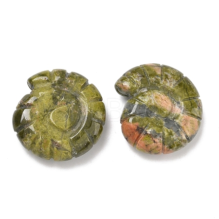 Natural Unakite Conch Display Decorations DJEW-D303-01G-1