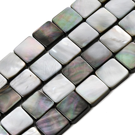 Natural Black Lip Shell Beads Strands SHEL-A006-09B-1