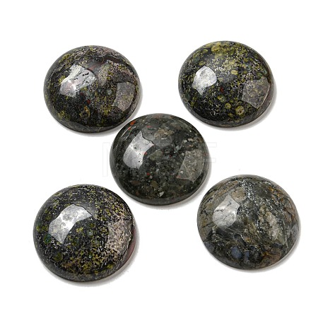 Natural Dragon Blood Cabochons G-C115-02B-11-1