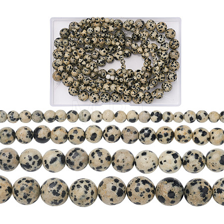 4 Strands 4 Style Natural Dalmatian Jasper Beads Strands G-YS0001-06-1