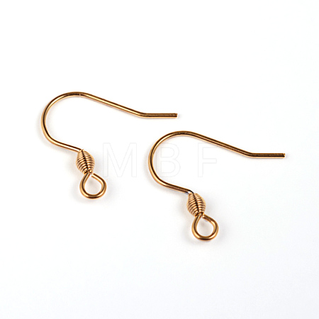 304 Stainless Steel Earring Hook Findings STAS-M240-02-1