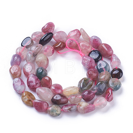 Natural Tourmaline Beads Strands X-G-P433-05B-1