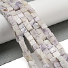 Natural Purple Turquoise Beads Strands G-F631-K25-2