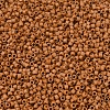 MIYUKI Delica Beads X-SEED-J020-DB2287-3