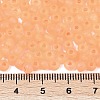 6/0 Luminous Glass Seed Beads X1-SEED-NH0001-01D-5