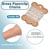 5M Brass Paperclip Chains CHC-TA0001-39S-4