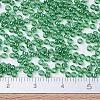 MIYUKI Round Rocailles Beads X-SEED-G007-RR0173-4