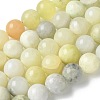 Natural New Jade Beads Strands G-F591-16-10MM-2