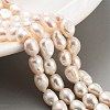 Natural Cultured Freshwater Pearl Beads Strands PEAR-P062-29D-2