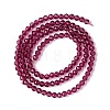 Transparent Glass Beads Strands GLAA-C019-01B-02-2