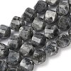 Natural Larvikite Beads Strands G-C267-B24-2