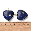 Dyed Natural Lapis Lazuli Pendants G-P588-01G-08-3