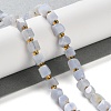 Natural Blue Lace Agate Beads Strands G-NH0036-01-2