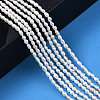 Grade AA Natural Cultured Freshwater Pearl Beads Strands PEAR-N012-02J-6