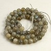 Natural Labradorite Beads Strands G-D135-6mm-11-2