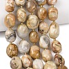 Natural Crazy Agate Beads Strands G-G453-D03-01-1