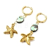 Ocean 304 Stainless Steel and Paua Shell Dangle Earrings EJEW-JE07109-02-4