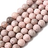 Natural Pink Zebra Jasper Beads Strands X-G-P231-01-10mm-2