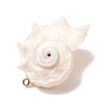 Natural Conch Shell Pendants SH-CBAD3AC-01-2