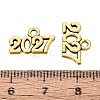New Year's Day Tibetan Style Alloy Charms FIND-N014-01AG-3