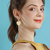 4 Pairs 4 Colors Acrylic Heart Lollipop Dangle Earrings EJEW-FI0001-14-4