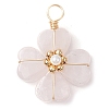 Natural Rose Quartz Clover Pendants PALLOY-JF03180-04-1
