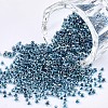 6/0 Glass Seed Beads X-SEED-A016-4mm-217-1