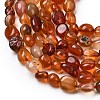 Natural Red Agate Beads Strands G-B161-A01-4