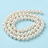 Natural Cultured Freshwater Pearl Beads Strands PEAR-E018-40-3