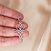 201 Stainless Steel Dangle Earrings FS-WGB2EA6-01-5