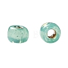 TOHO 11/0 Round Beads X-SEED-TR11-PF2119-4