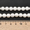 Electroplated Shell Pearl Beads Strands BSHE-K017-8mm-4