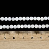 Natural Freshwater Shell Beads Strands BSHE-H109-03B-5