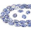  2 Strands Flat Oval Natural Blue Spot Jasper Beads Strands G-NB0003-78-1