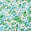 6/0 Glass Seed Beads SEED-L011-08A-02-3