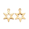 201 Stainless Steel Charms STAS-K217-08G-2