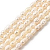 Natural Cultured Freshwater Pearl Beads Strands PEAR-I007-01P-03A-2