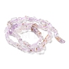 Natural Amethyst Beads Strands G-P497-01C-26-3