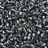 MIYUKI Delica Beads SEED-X0054-DB0048-3