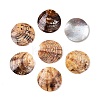 2-Hole Mother of Pearl Buttons SHEL-T012-43B-1