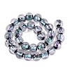 Handmade Foil Glass Beads Strands FOIL-Q002-01A-02-2