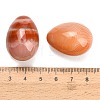 Natural Red Banded Agate(Dyed & Heated) Egg Stone GG-L654-H02-09-3