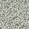 MIYUKI Delica Beads X-SEED-J020-DB1711-3